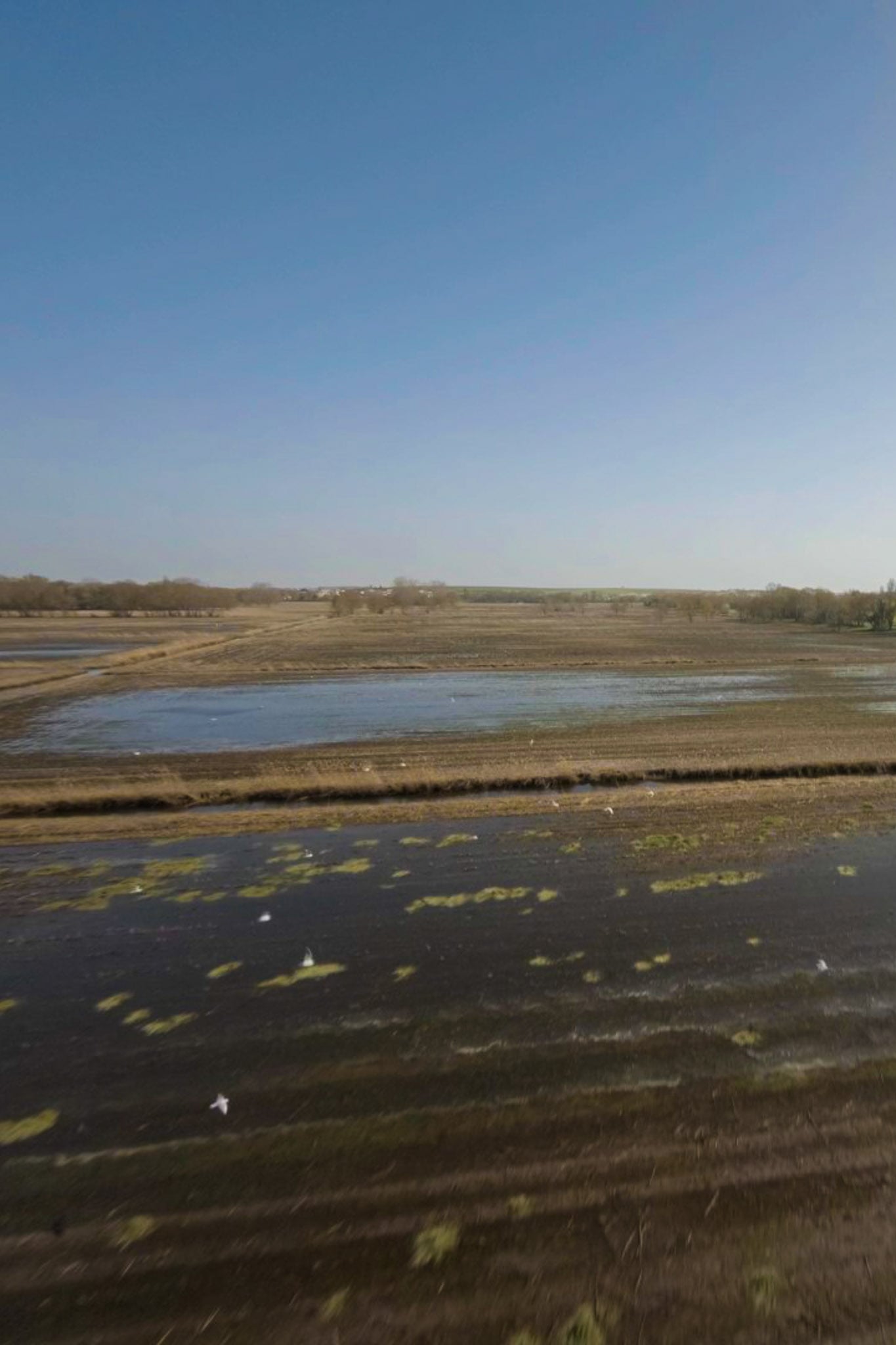 Marais de Chenaumoine