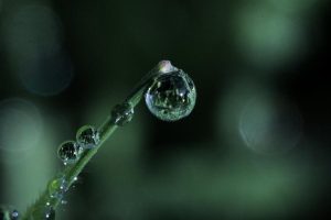 36515121-diaporama